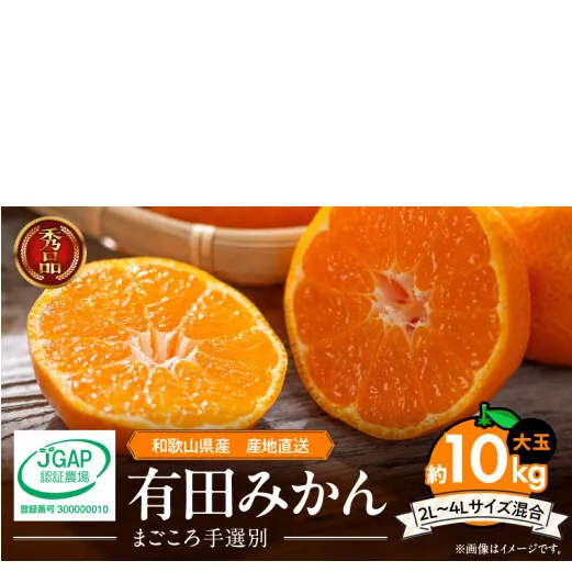 ZE6333n_【2025年先行予約】和歌山有田みかん10kg　2L～4Lサイズ混合