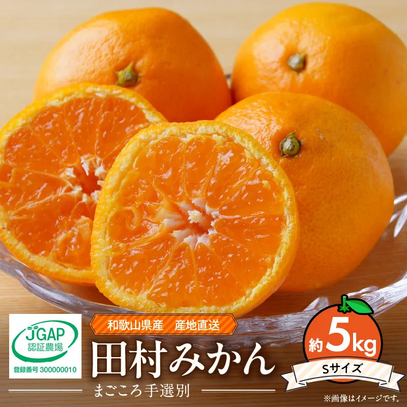ZE6485_【2026年先行予約】和歌山 湯浅町産 田村みかん 約5kg【Sサイズ】
