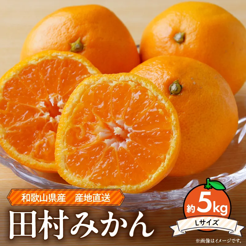 ZE6343n_【2026年先行予約】和歌山 湯浅町産 田村みかん 約5kg【Lサイズ】