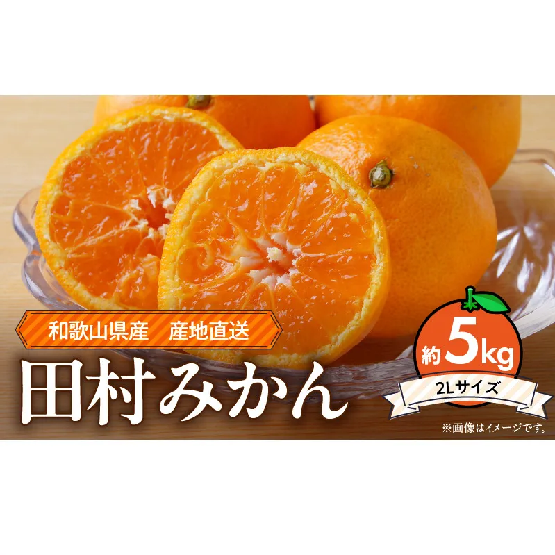 ZE6345n_【2026年先行予約】和歌山 湯浅町産 田村みかん 5kg【2L】
