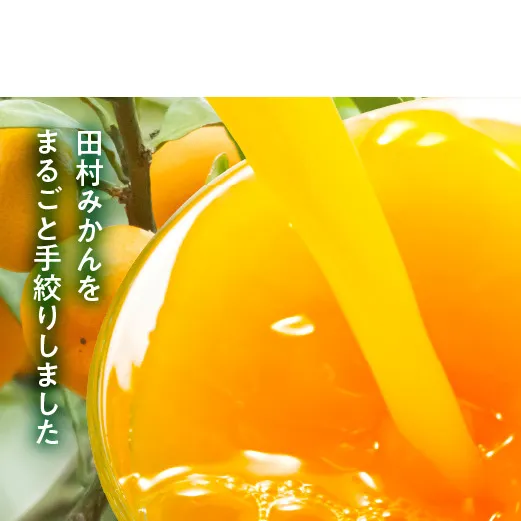 かねよし農園 田村みかんジュース 10本セット_BP6010