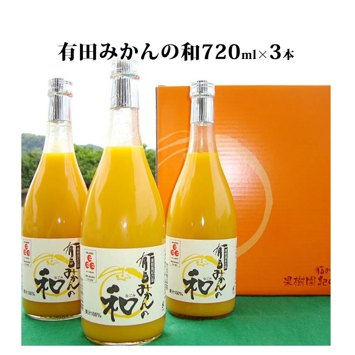 果樹園紀の国 有田みかんの和　７２０ｍｌ×３本入_ZY6115n