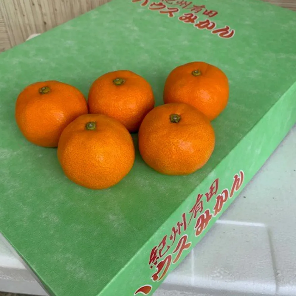 BF6032n_【2025年先行予約】 ハウスみかん 化粧箱 約2.5kg 【ミカン 蜜柑 柑橘 温州みかん 有田みかん 贈答 ギフト 和歌山】