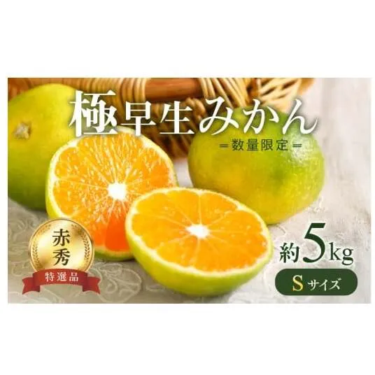 BF6036n_【2026年先行予約】 極早生みかん 5kg 赤秀 Sサイズ【ミカン 蜜柑 柑橘 温州みかん 有田みかん 贈答 ギフト わせみかん 和歌山】