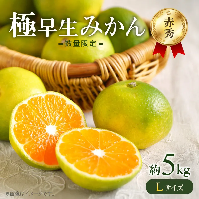 極早生みかん 5kg 赤秀 Lサイズ【ミカン 蜜柑 柑橘 温州みかん 有田みかん 贈答 ギフト わせみかん 和歌山】_BF6038n