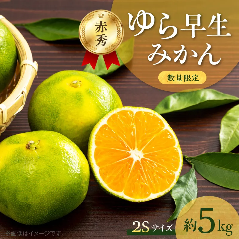 ゆら早生みかん 5kg 赤秀 ２Sサイズ_BF6040n