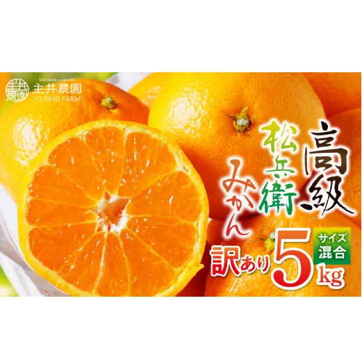 ZS6121n_主井農園 松兵衛みかん 5kg (サイズ混合) 【訳あり 家庭用】