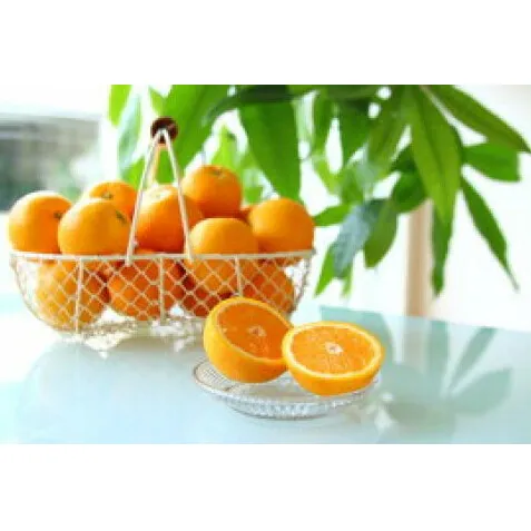 ZS6120n_【先行予約】主井農園 国産 バレンシアオレンジ（S～LLサイズ青秀おまかせ）5kg