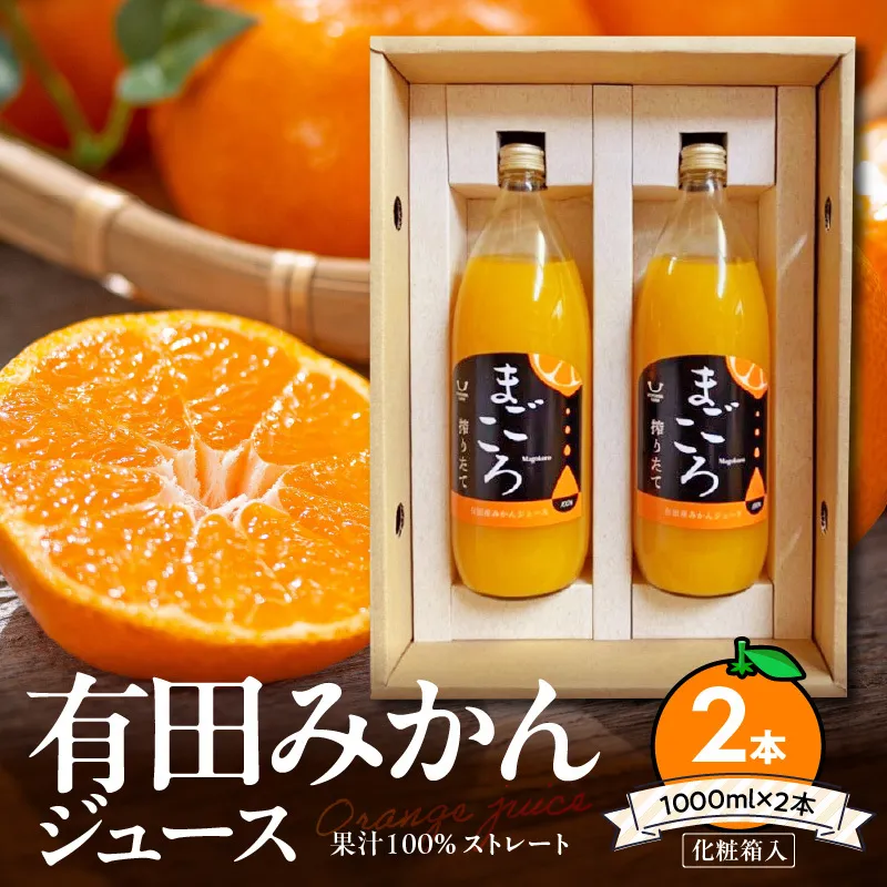 「まごころ」有田みかん 100% ジュース 1000ml 2本_ZE6368n