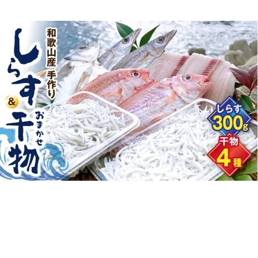 DL6001n_しらす ・ 干物 おまかせ詰め合わせ セット A