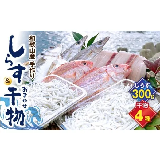 DL6001n_しらす ・ 干物 おまかせ詰め合わせ セット A