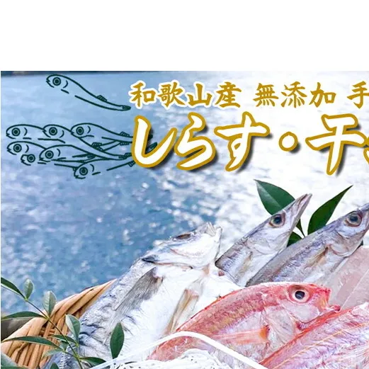 しらす ・ 干物 おまかせ詰め合わせ セット A_DL6001n