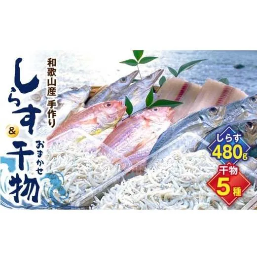 DL6002n_しらす ・ 干物 おまかせ詰め合わせ セット B