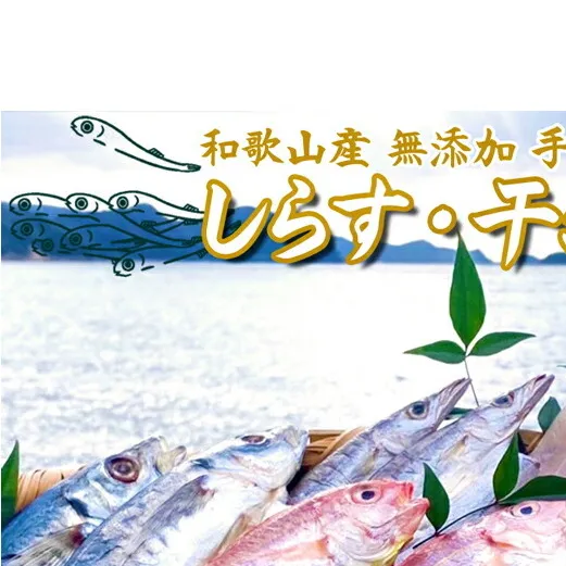 しらす ・ 干物 おまかせ詰め合わせ セット B_DL6002n