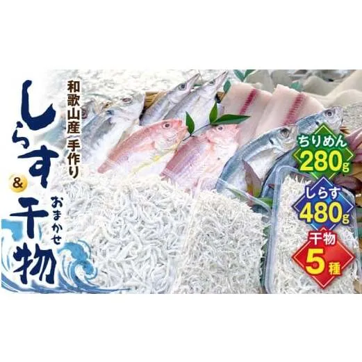 DL6003_しらす ・ 干物 おまかせ詰め合わせ セット C 