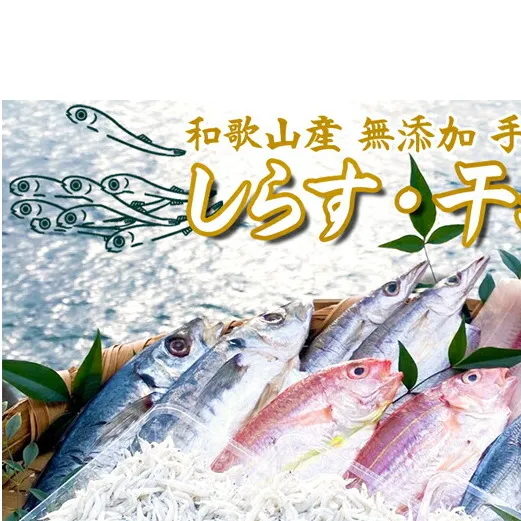 DL6003_しらす ・ 干物 おまかせ詰め合わせ セット C