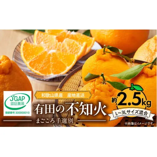ZE6209n_【2026年先行予約】有田の不知火(しらぬひ) 2.5kg　8～11玉　（M～2Lサイズ）まごころ手選別