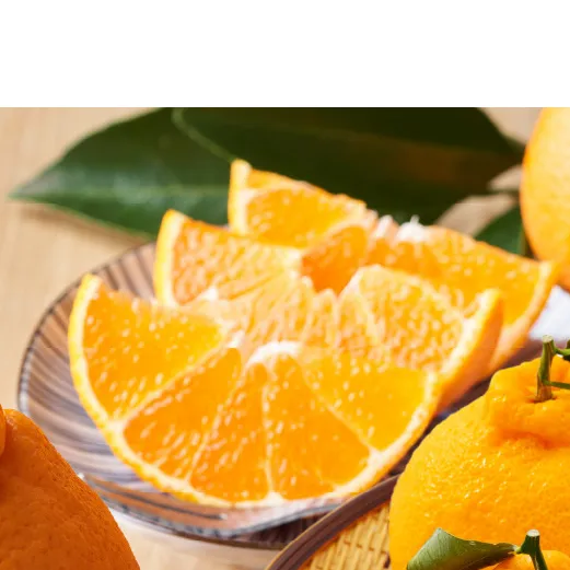 ZE6209n_有田の不知火(しらぬひ) 2.5kg　8～11玉　（M～2Lサイズ）まごころ手選別