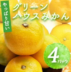 BF6055_【2025年先行予約】 グリーンハウスみかん 4パック 【ミカン 蜜柑 柑橘 温州みかん 有田みかん ハウスミカン 和歌山】