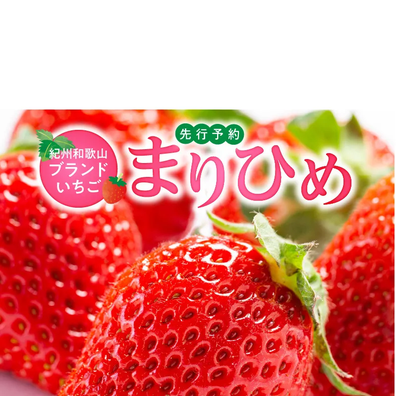 G7348_【2027年先行予約】 紀州和歌山ブランドいちご まりひめ 約280g×2P