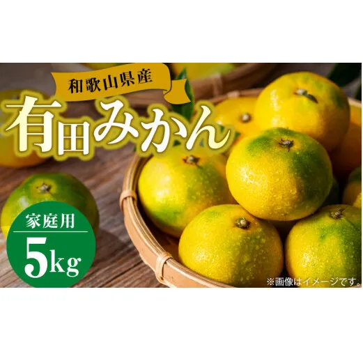 BL6111n_【2025年先行予約】【訳あり】和歌山県産 有田みかん 5kg