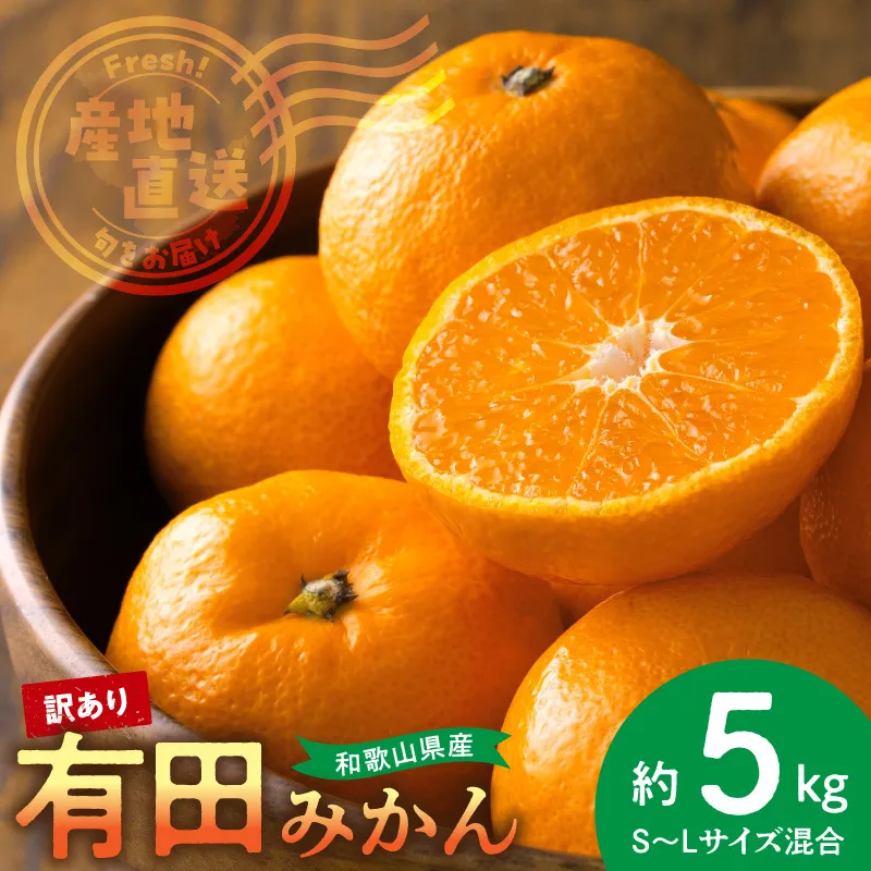 【訳あり】和歌山県産 有田みかん 5kg_BL6111n