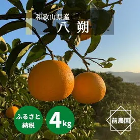 BL6113n_【2026年先行予約】【産地直送】和歌山県産 八朔 4kg (M～3Lサイズ)
