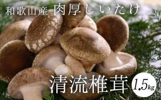 DM6001n_最高級 肉厚椎茸 清流椎茸 1.5kg