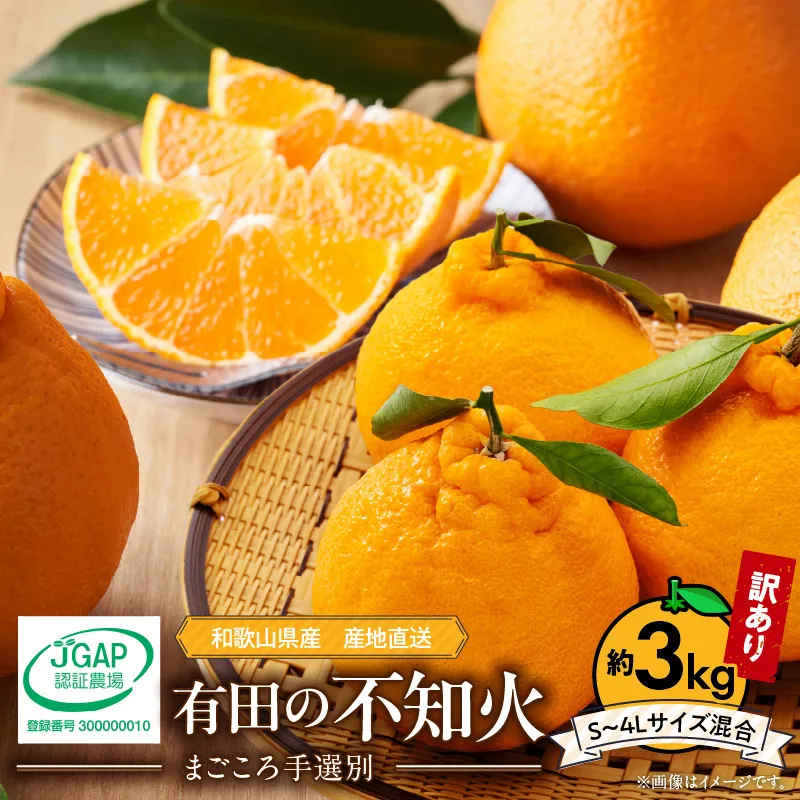 ZE6378n_【2026年先行予約】和歌山県産 有田の 不知火(しらぬひ) 【訳あり 家庭用】 3kg (S～4Lサイズ混合)【まごころ手選別】