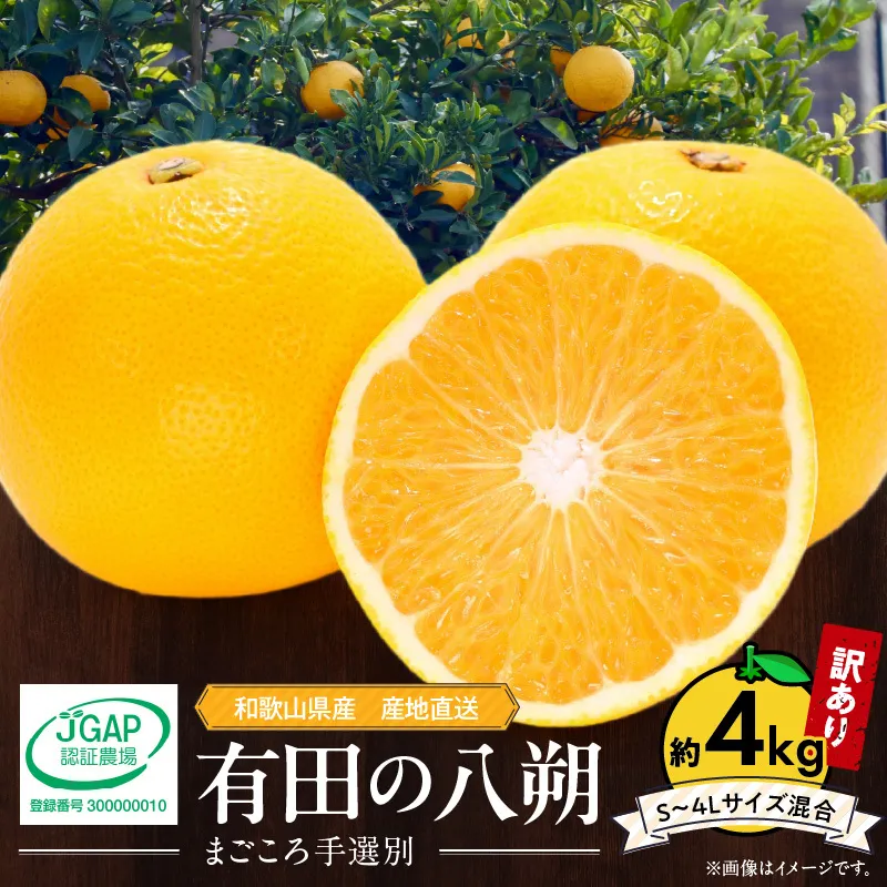 ZE6379n_【2026年先行予約】有田の八朔 (はっさく)【訳あり　家庭用】4kg (S～4Lサイズ混合)　まごころ手選別