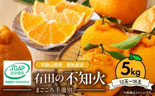 ZE6383n_【2026年先行予約】有田の不知火(しらぬひ) 5kg　12～18玉 （２L～４Lサイズ）まごころ手選別