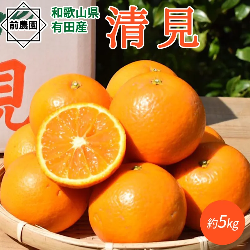 BL6156n_【2026年先行予約】和歌山県産 清見 5kg (S～3Lサイズ混合)