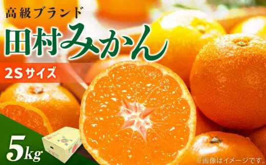 DN6014_【2025年先行予約】高級ブランド 田村みかん 秀品 5kg (2Sサイズ）