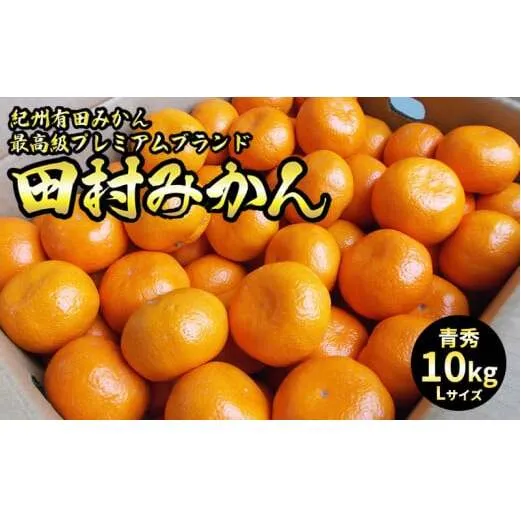 U6246_「高級 田村みかん」 青秀 約10kg Lサイズ 和歌山県有田産 有田みかん