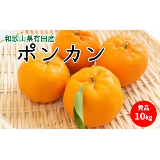 U6227n_【2026年先行予約】ポンカン 秀品 約10kg 和歌山県有田産