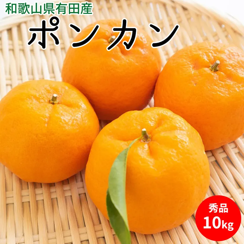 【2027年先行予約】ポンカン 秀品 約10kg 和歌山県有田産_U6227n