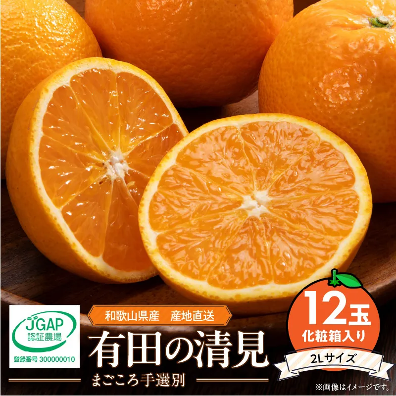 【2027年先行予約】有田の不知火(しらぬひ) 4kg　12玉～28玉（S～3Lサイズ混合）まごころ手選別_ZE6117n