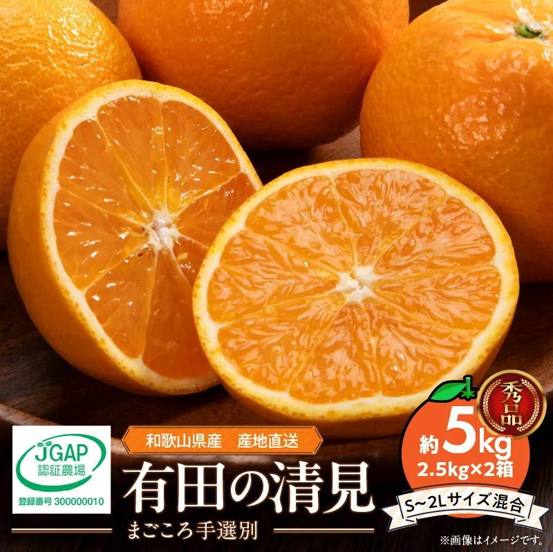 ZE6120n_【2026年先行予約】和歌山県産 有田の 清見 5kg (2.5kg×2箱) (S～2Lサイズ混合)（まごころ手選別）
