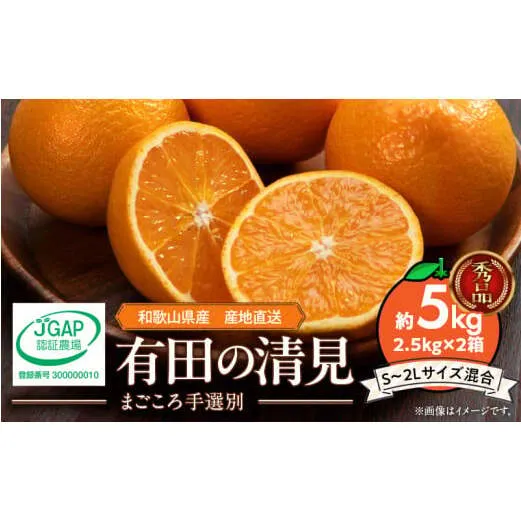 ZE6120n_【2026年先行予約】和歌山県産 有田の 清見 5kg (2.5kg×2箱) (S～2Lサイズ混合)（まごころ手選別）