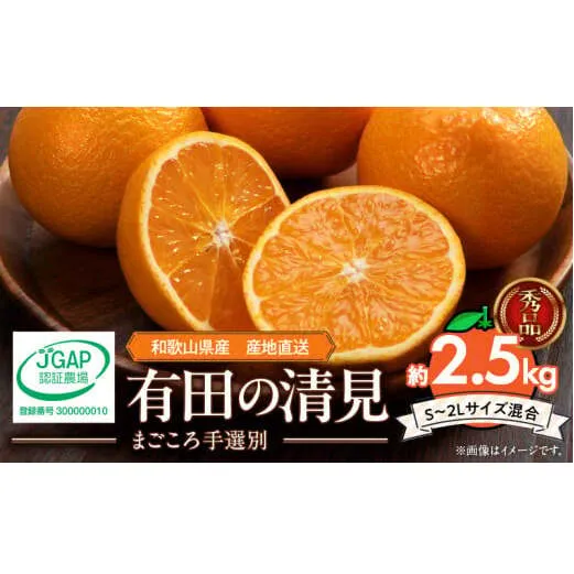 ZE6367n_【2026年先行予約】和歌山県産 有田の 清見 2.5kg (S～2Lサイズ混合)【まごころ手選別】