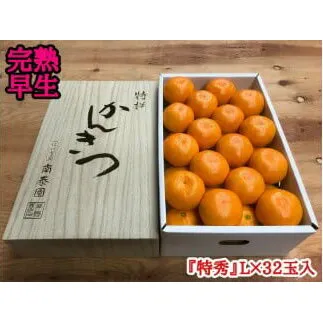 ZF6034n_【完熟早生・有田みかん】化粧箱『特秀』 4kg Lサイズ32個入