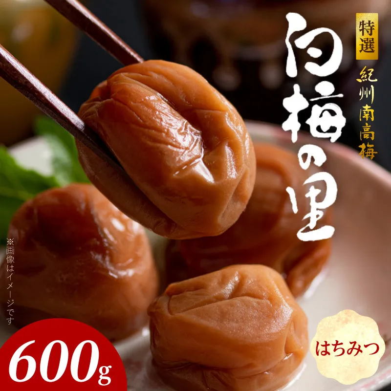 特選紀州南高梅「白梅の里」はちみつ　600ｇ_SF2007