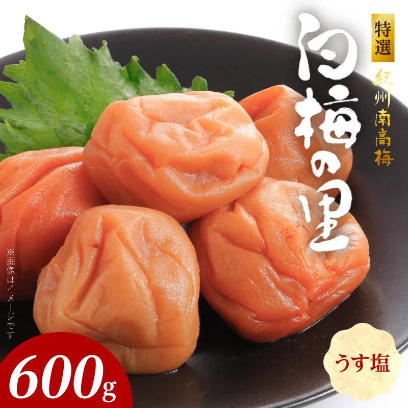 特選紀州南高梅「白梅の里」うす塩味　600ｇ_SF2004