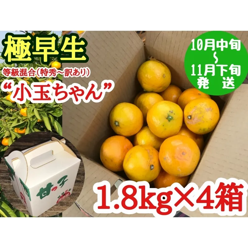 【極早生・有田みかん】小玉ちゃん 約7.2kg (約1.8kg×4箱) (等級混合・2S~4Sサイズ混合)_ZF6016n