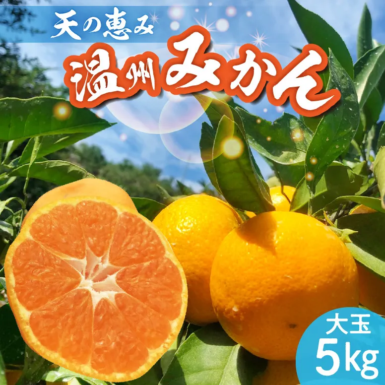 【2026年先行予約】天の恵み 温州みかん 大玉5kg【ミカン 蜜柑 柑橘 温州みかん 和歌山】_H6004n