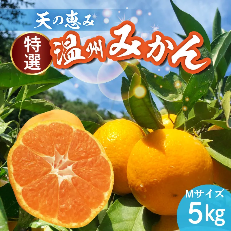 H6005_【2026年先行予約】天の恵み 温州みかん Mサイズ 特選 5kg【ミカン 蜜柑 柑橘 温州みかん 和歌山】