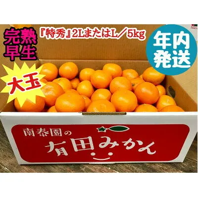 ZF6028n_≪年内発送≫【完熟早生・有田みかん】大玉『特秀』2LまたはLサイズ／5kg【南泰園】