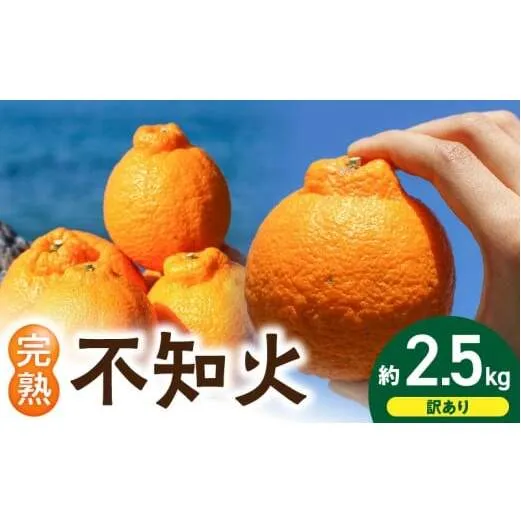EA6020n_【訳あり・ご家庭用】 和歌山県産 完熟 不知火 2.5kg 甘酸っぱい味わいと芳醇な風味がたまらない高級柑橘!