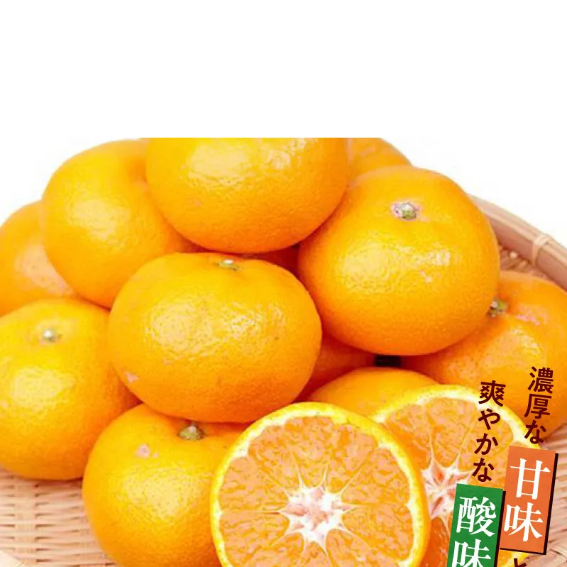 G7043_【2026年11月下旬より発送】紀州有田産 濃厚甘熟温州みかん 5kg