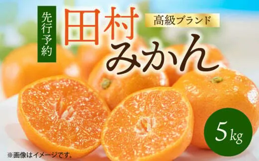G7340_【2025年 先行予約】高級ブランド 田村みかん 5kg